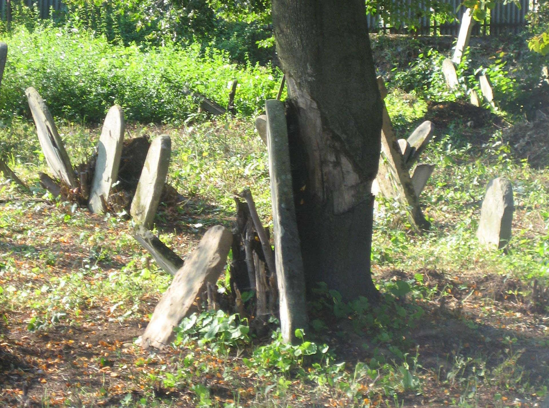 2005 - Bardejov's Jewish Cemetery before restoration