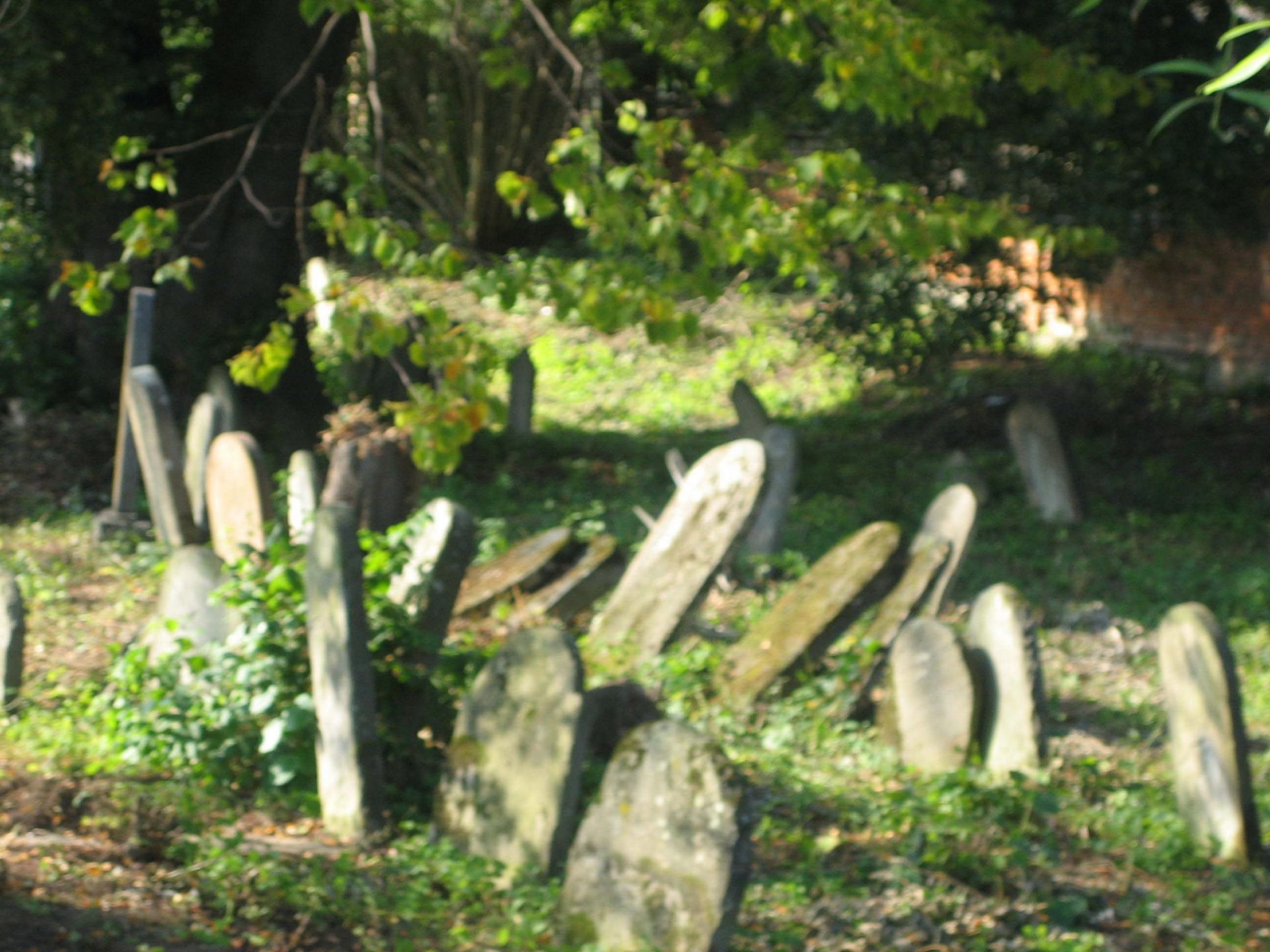 2005 - Cemetery before restoration