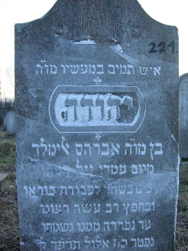 Grave 221
