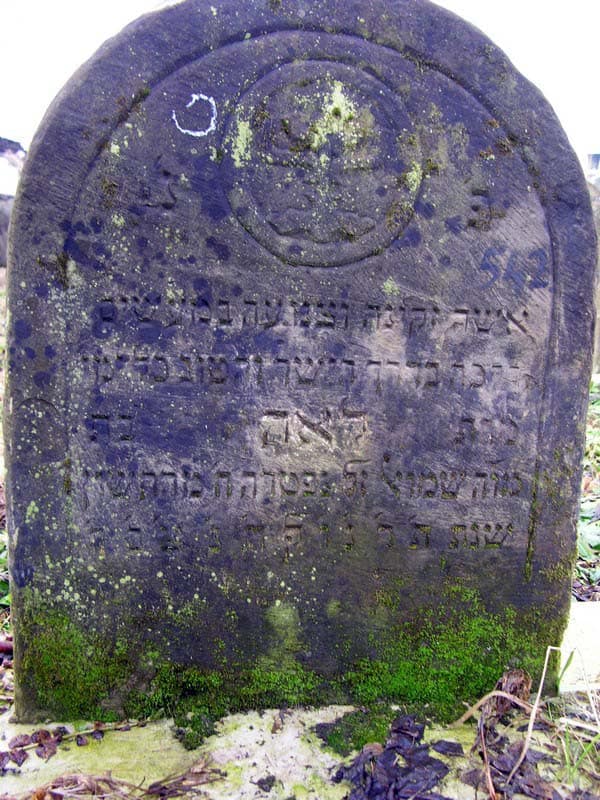 Grave 542
