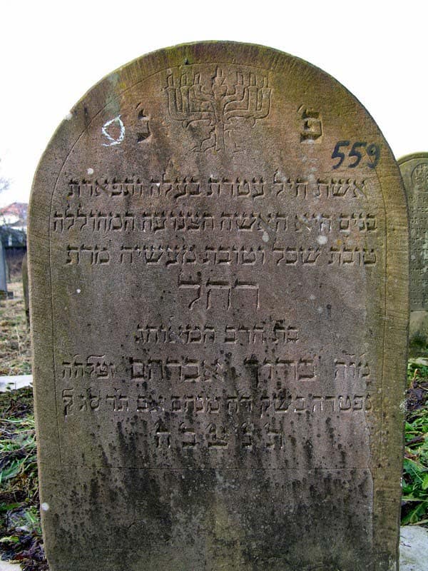 Grave 559