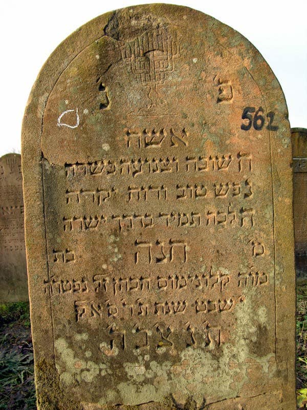 Grave 562