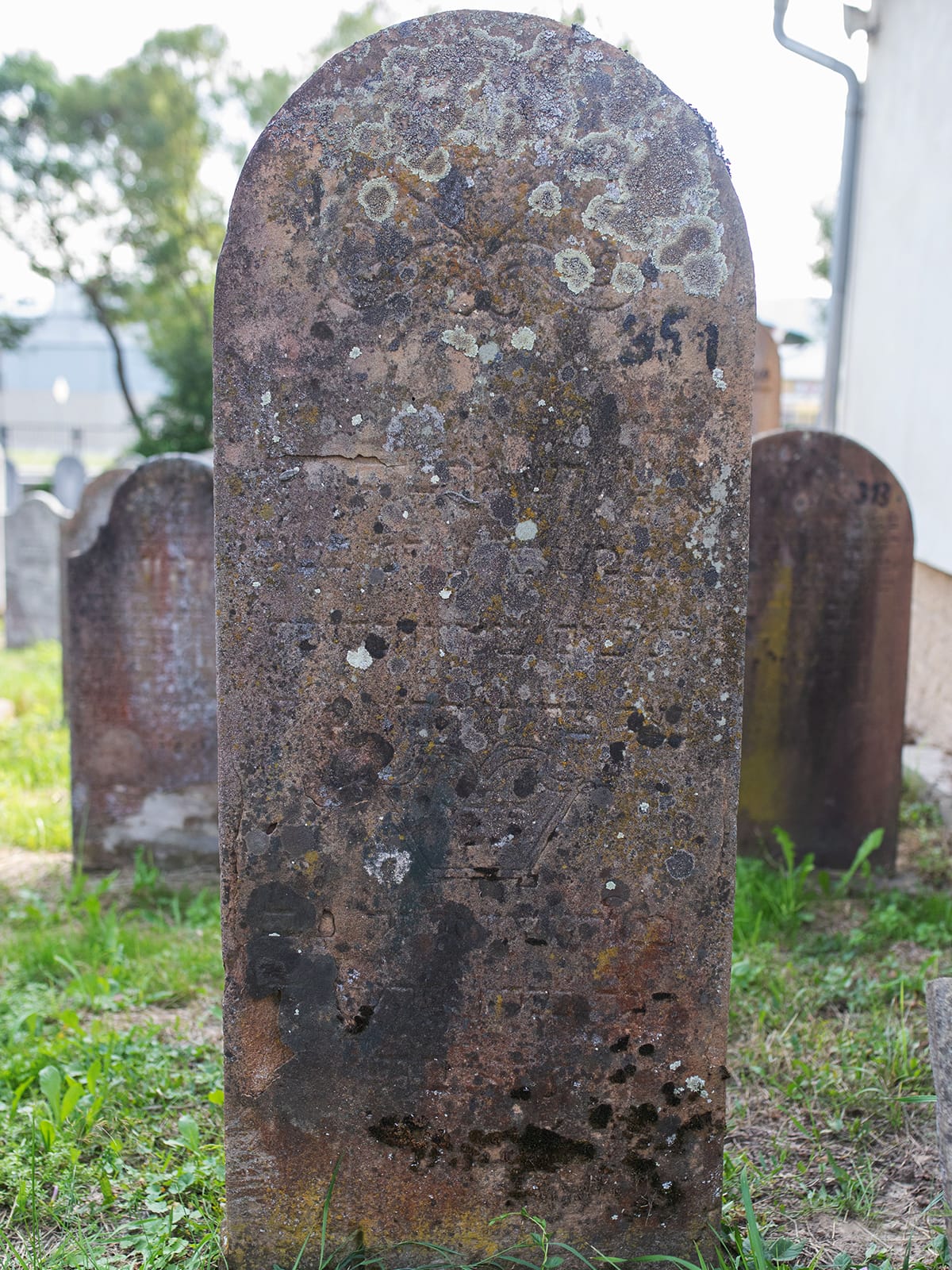 Grave 351