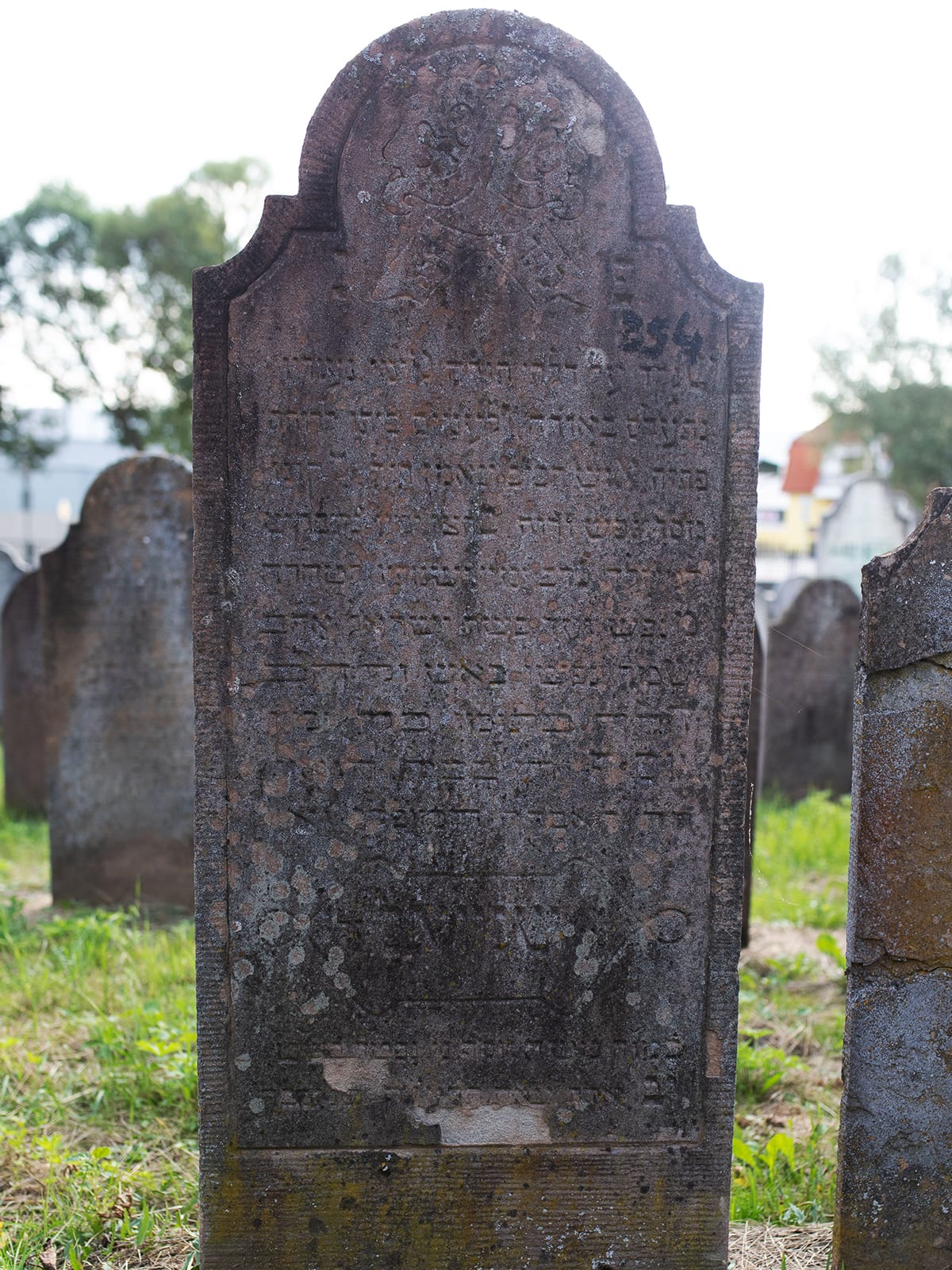 Grave 354