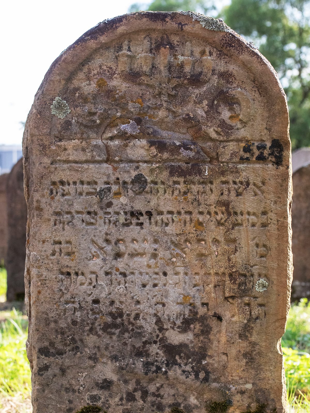 Grave 529