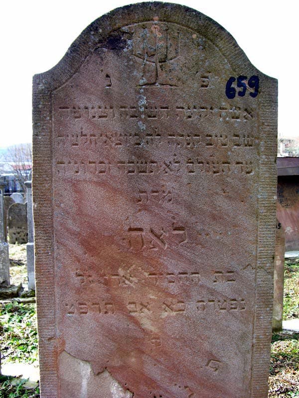 Grave 659