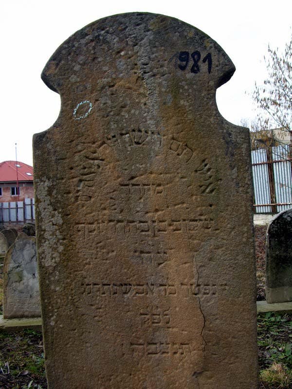 Grave 981