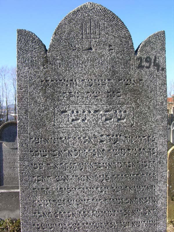 Grave 294