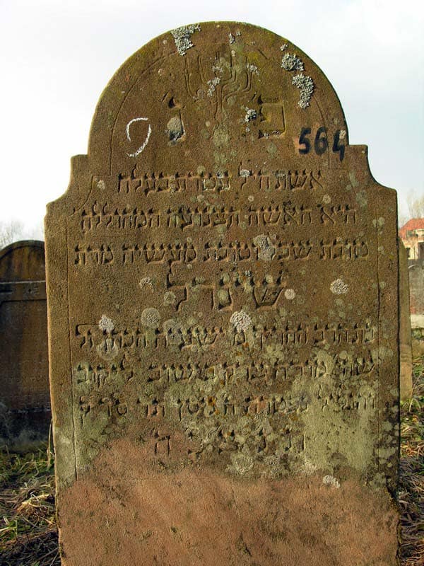 Grave 564