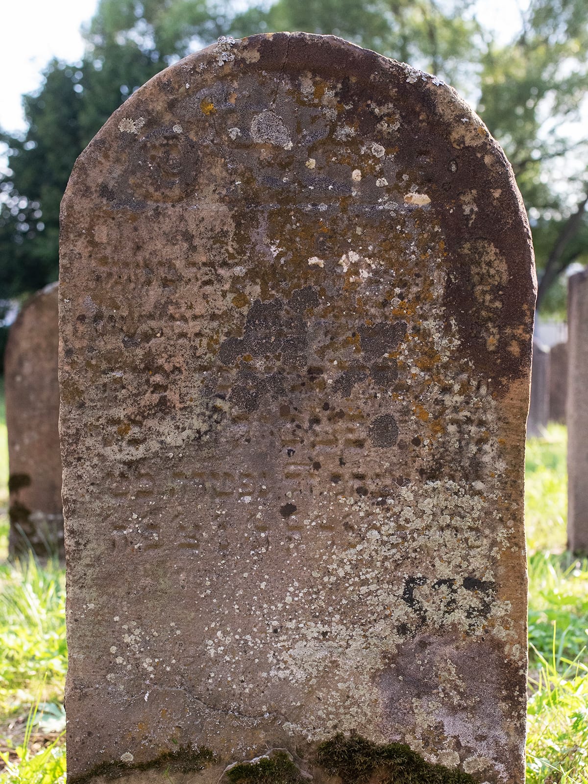 Grave 527
