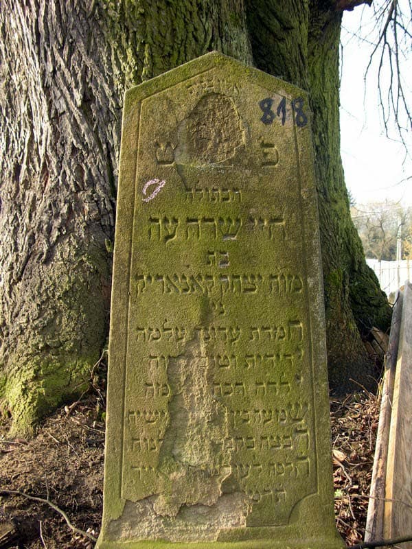 Grave 818