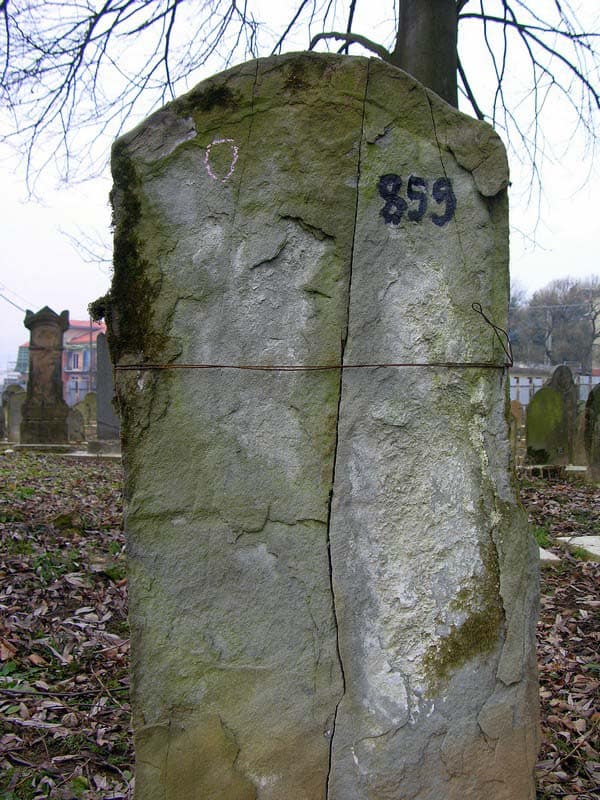 Grave 859