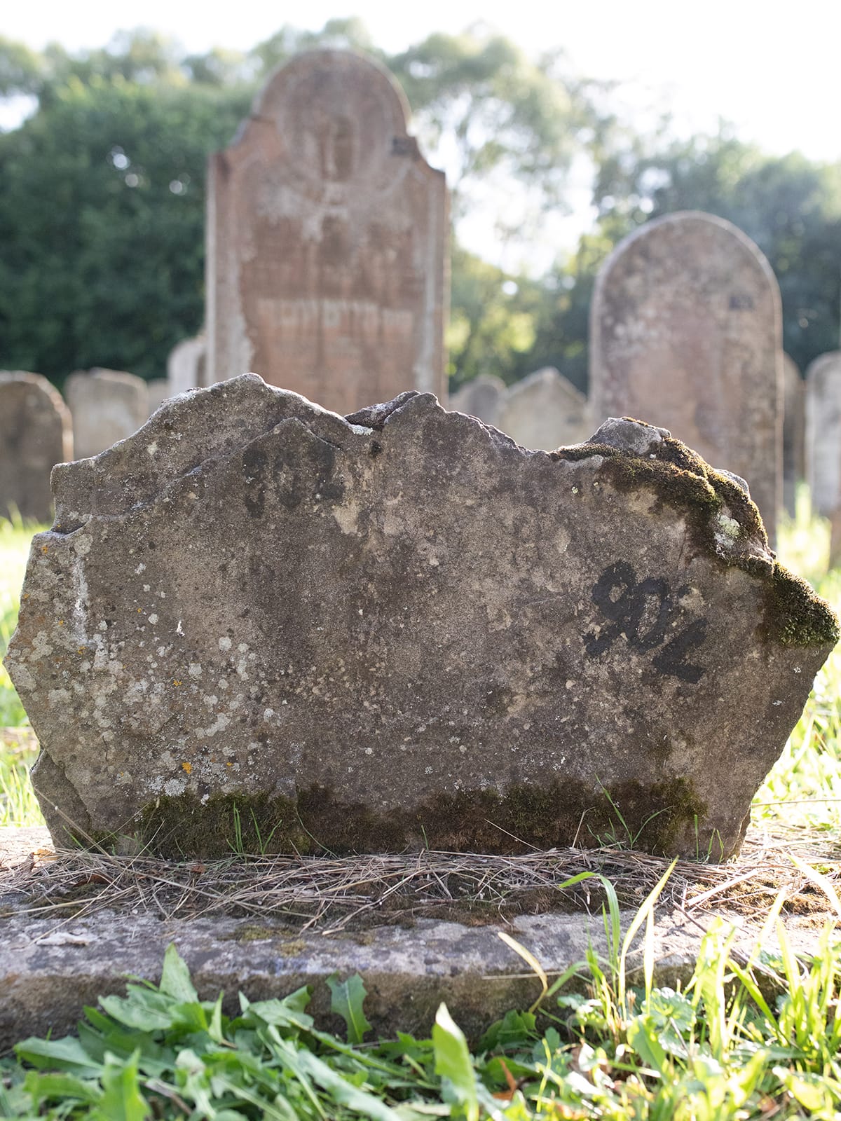Grave 902